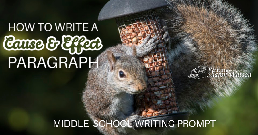 I Didn’t Finish My Homework Because . . .