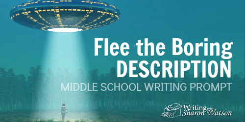 Flee the Boring Description!