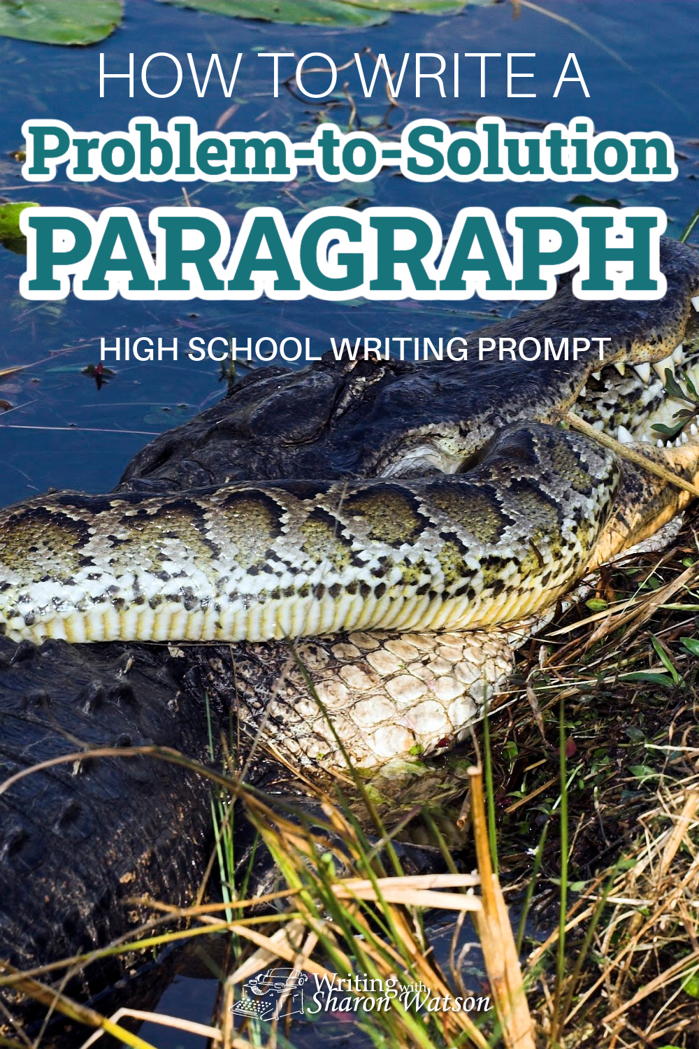 The Florida Everglades is being threatened by new and invasive species of plants and animals that have no natural predators. With this high school writing prompt, your student will write a Problem-to-Solution Paragraph to share their own solution to this problem.. #homeschool #homeschoolwriting #writingprompts