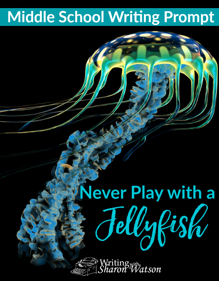 Middle School Writing Prompt -- Rules. You find them everywhere, even on vacation. Make a silly or serious list of "Never do the following" advice for specific situations or locations.