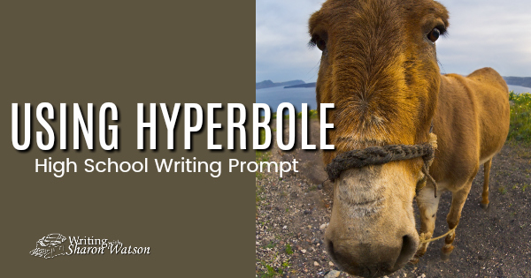 His Hands Were Bigger Than Shovels: Hyperbole