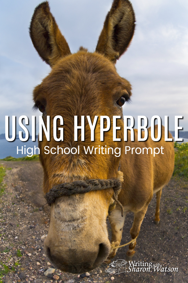 Read this fun example of hyperbole and then use hyperbole to describe a real person or a character from a book or a movie. Show them in motion, too. #homeschool #homeschoolwriting #hyperbole #literarydevices #figurativelanguage #highschool
