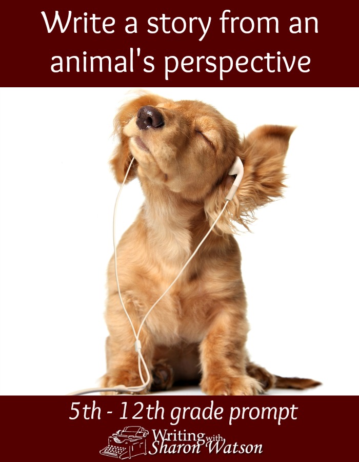 MIDDLE AND HIGH SCHOOL WRITING PROMPTS: Let everything that happens be recorded from an animal's perspective, just as Matriarch in Alaska thinks humans seem like water fowl. Funnel events through the animal's eyes.