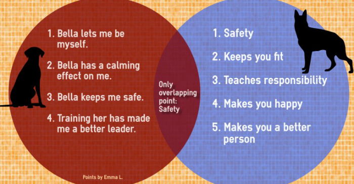 How to Convince an Audience: Opinion versus Persuasion