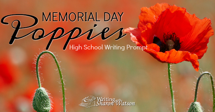 Poppies on Memorial Day