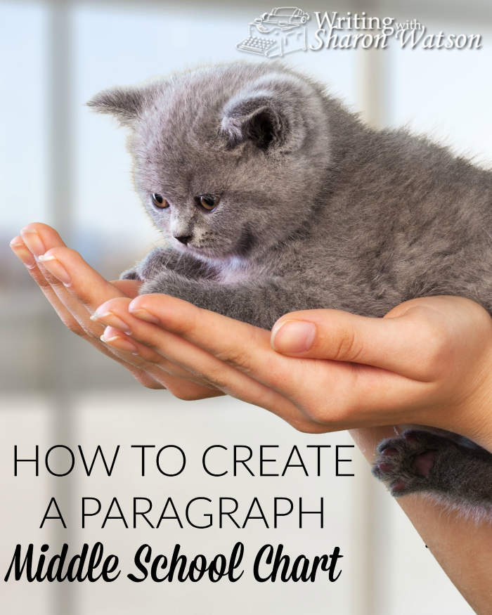 Do you have trouble coming up with ideas to put in your paragraphs? Would you like help organizing each paragraph so it is not a mess? Use this chart.