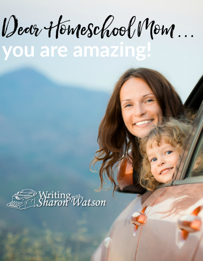 No advice or 3-point "do this" article--simply raw appreciation for you, the homeschool mom, as you balance life's demands. I think you are amazing!