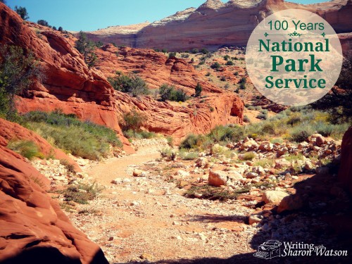 national park service