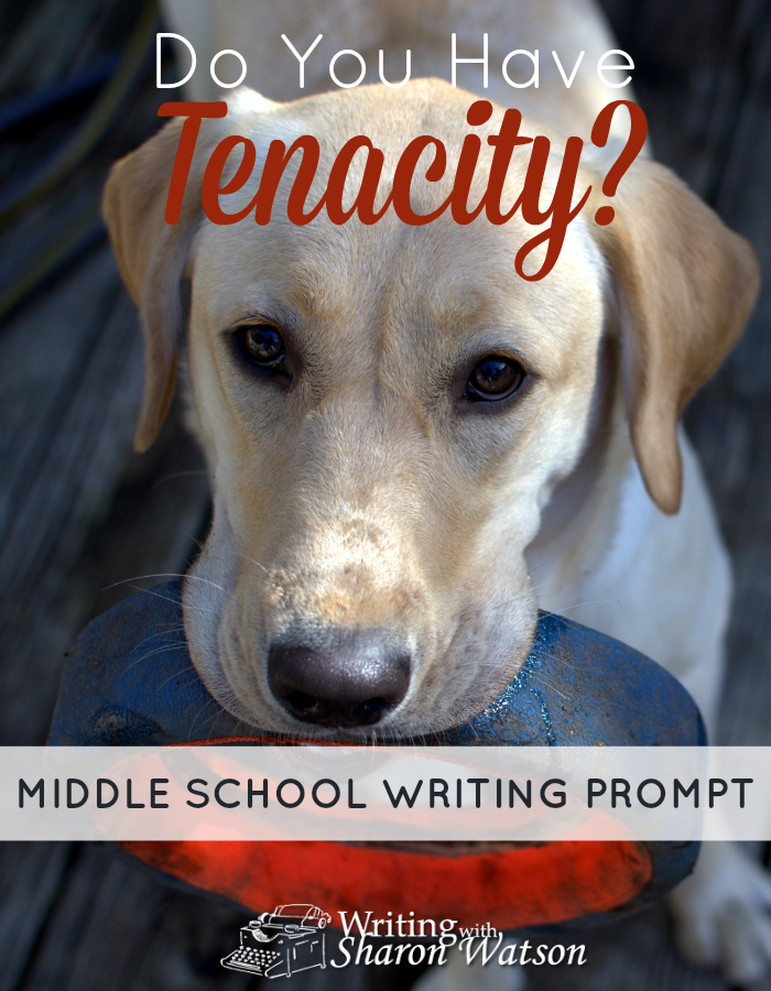 MIDDLE SCHOOL PROMPT: What can you accomplish if you have tenacity? Read about this famous scientist and then choose your prompt.