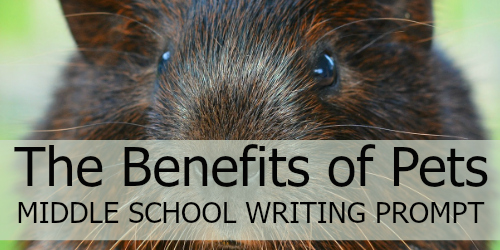 Write an Introduction: The Benefits of Owning a Pet