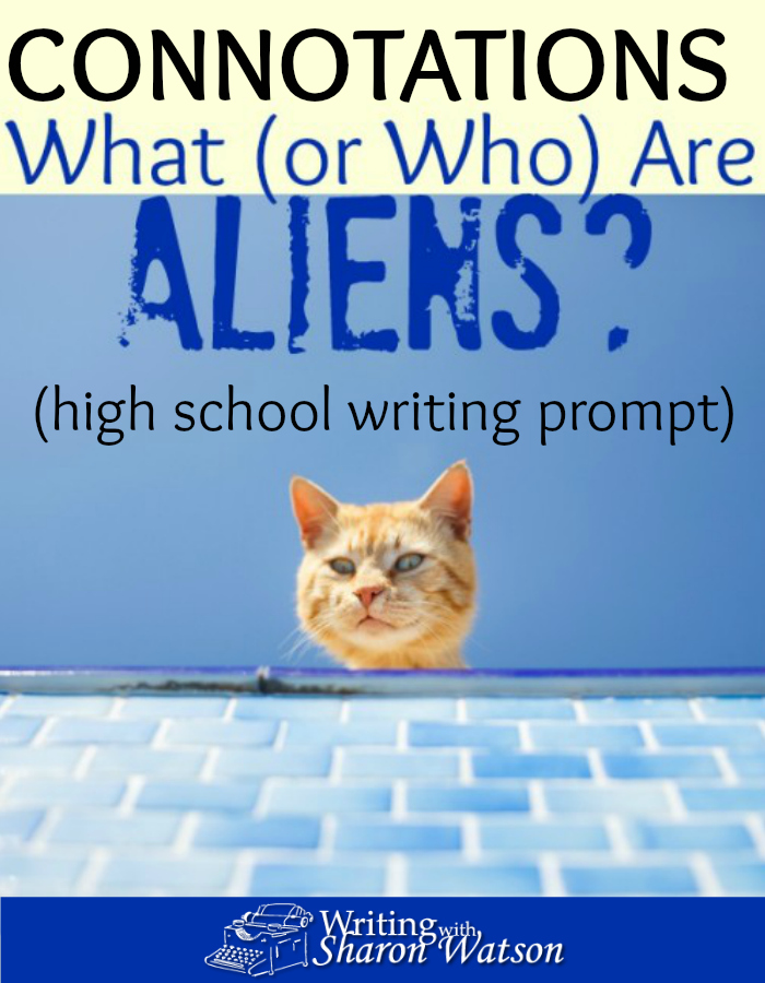 HIGH SCHOOL PROMPT Illegal alien. Undocumented worker. Foreign national. Learn how connotations affect our language and then weigh in on the topics.