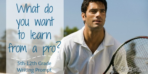 What Skill Do You Want to Learn from a Pro?